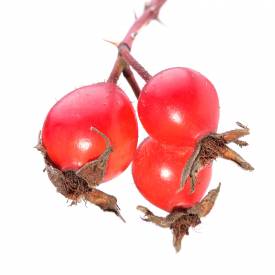 Rosehip Oil, unrefined, organic